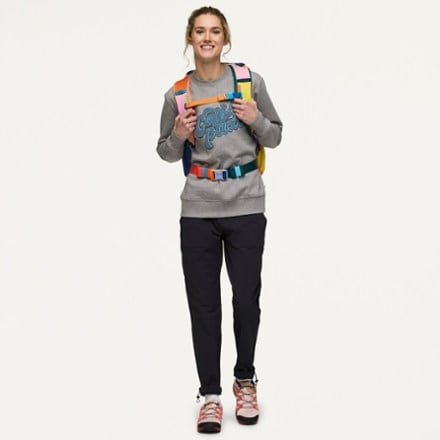Cotopaxi Allpa 28 L Del Dia Travel Pack 5