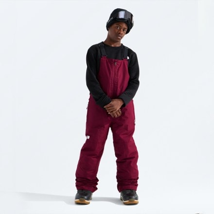 The North Face Freedom Insulated Bib Snow Pants 4