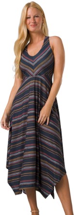 prAna Saxon Dress REI Co op
