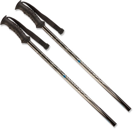 K2 Automatic Ski Poles - Men's | REI Co-op