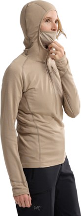 Arc'teryx Delta Half-Zip Fleece Hoodie - Women's 6