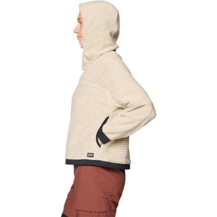 Mountain Hardwear Summit Grid Big Grid Hoody - Women's 3