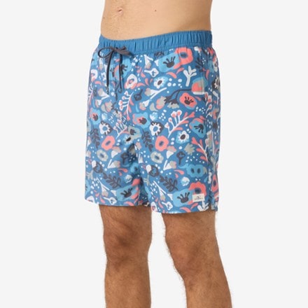 O'Neill Hermosa Light Lined Volley 17" Swim Shorts - Men's 2