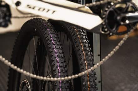 Schwalbe Schwalbe Albert Trail Pro Radial Tire 5