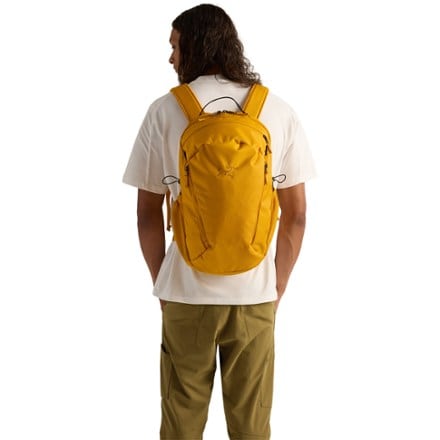 Arc'teryx Mantis 26 Pack 1