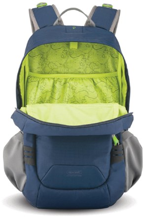 rei pacsafe backpack