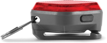 side veiw (Red Currant)