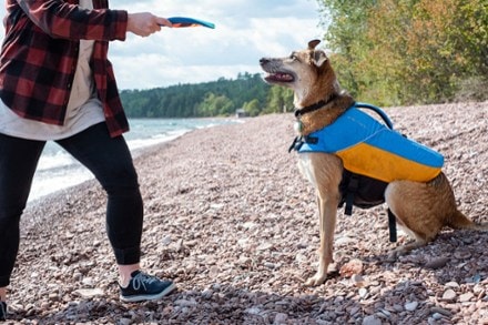 Astral BirdDog Life Jacket 1
