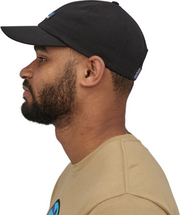 Patagonia P-6 Label Trad Cap 2