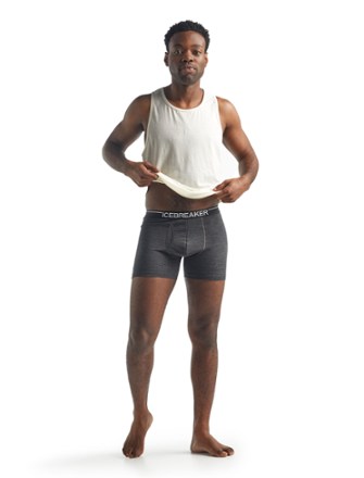 Icebreaker Anatomica Boxer Briefs with Fly - Men's 3