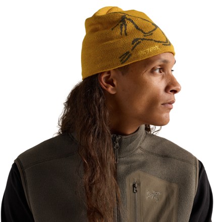 Arc'teryx Bird Head Toque Beanie 4