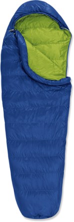 Alternate view (Snorkel)