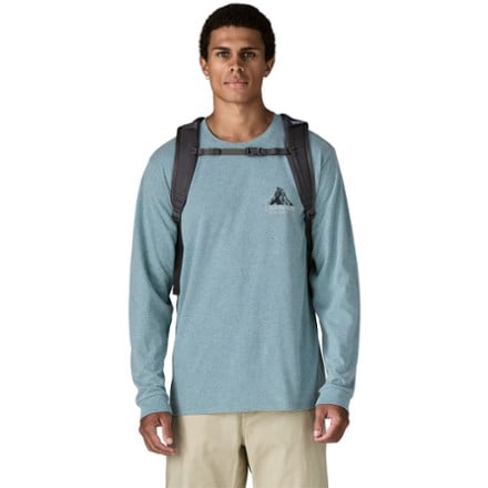 Patagonia Refugio 30L Pack 6