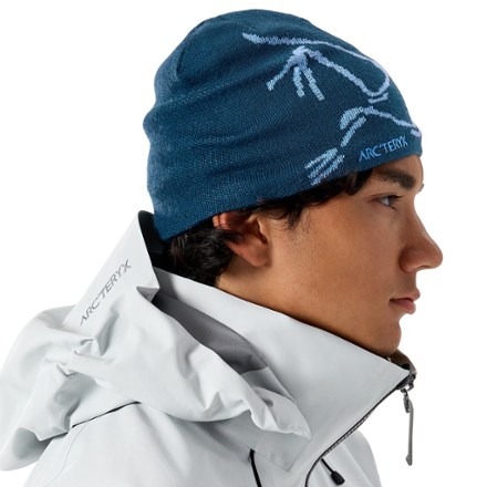 Arc'teryx Bird Head Toque Beanie 3