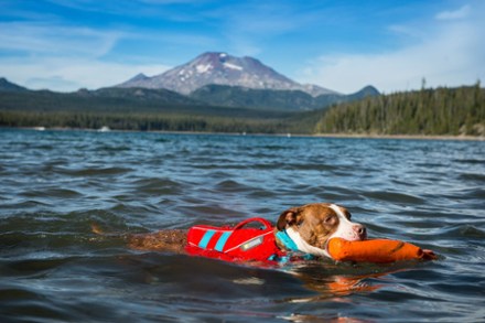 Ruffwear Float Coat Dog PFD 5