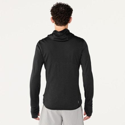Icebreaker Merino Blend 200 RealFleece Descender Long-Sleeve Zip Hoodie - Men's 2