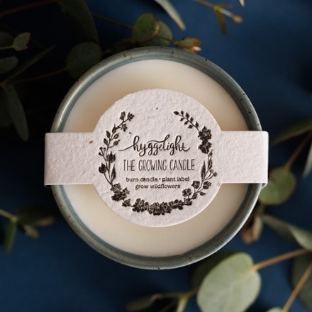 Hyggelight- The Growing Candle Willow Candle - Juniper/Citronella Scent 2