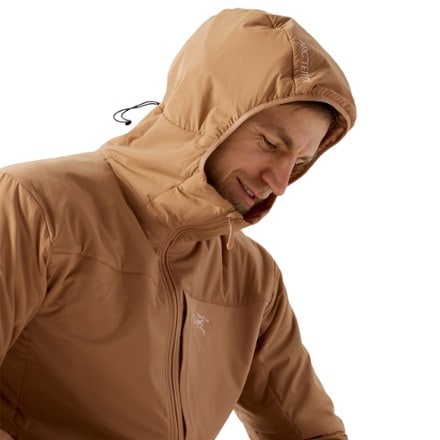 Arc'teryx Proton Insulated Hoody - Men's 6