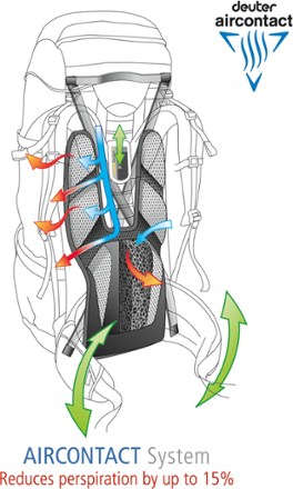 Back System (Pine/Anthracite)