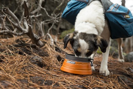 In-Use (Campfire Orange)