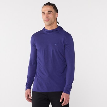 Arc'teryx Ionia Merino Wool Base Layer Hoody - Men's 1