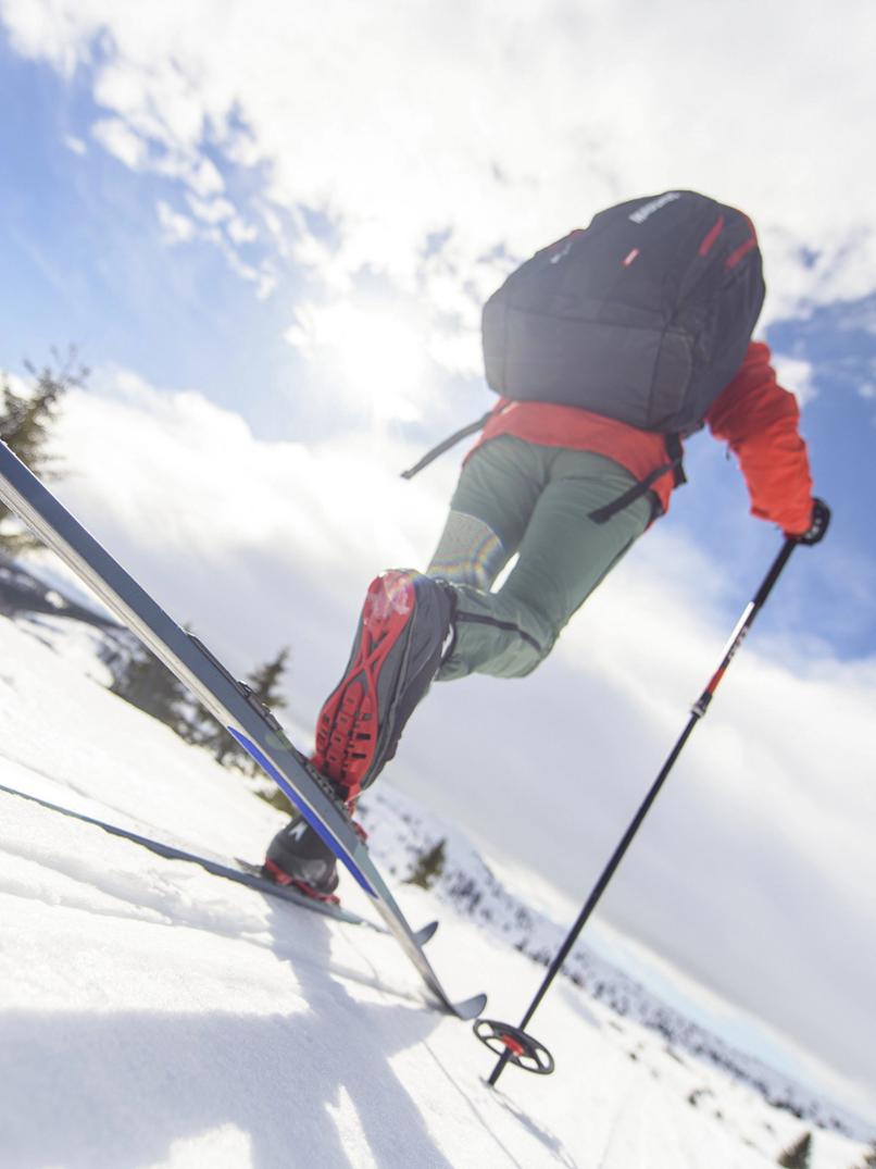 Location Image for Fjelltech M50 Skin Cross-Country Skis