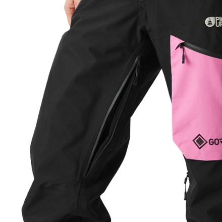 Picture Organic Clothing Exa GTX Snow Pants - Women's 6