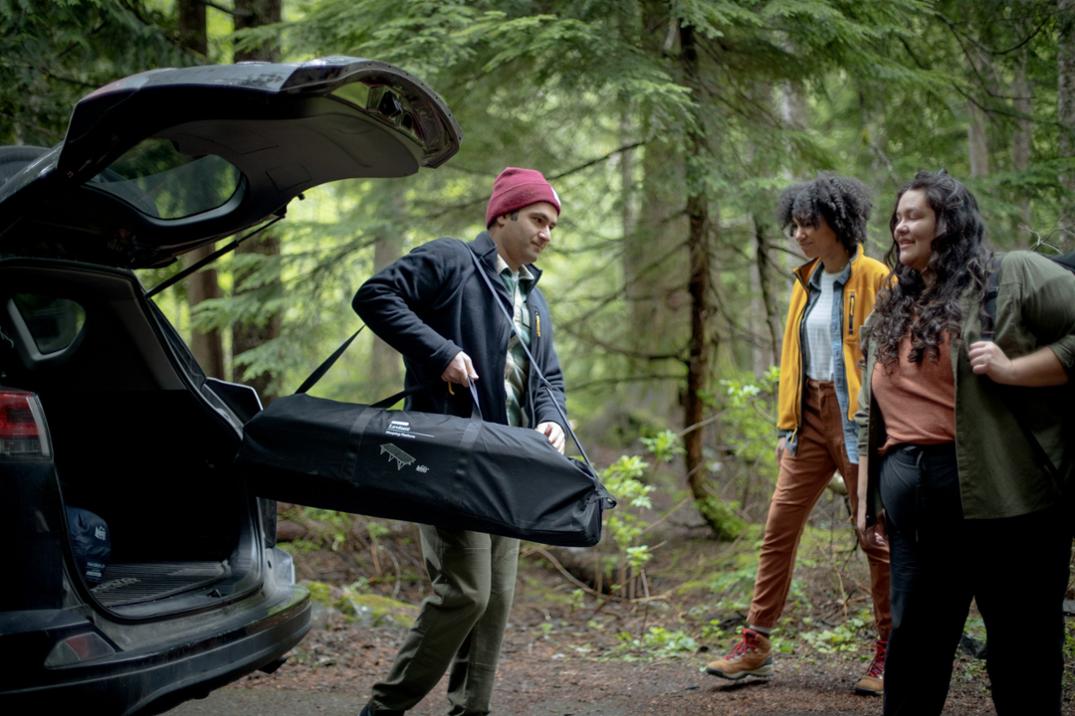 Location Image of color Forest Floor
