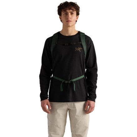 Arc'teryx Mantis 26 Pack 2