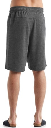 Icebreaker Shifter Shorts - Men's 2