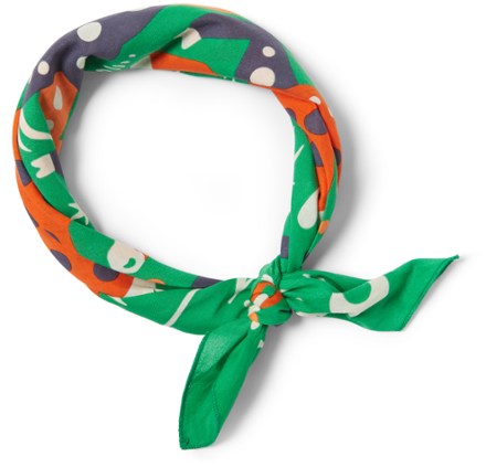 BANDITS Wild Horses Bandana 2