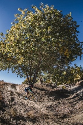 Vittoria Terreno Dry TR Tire 5