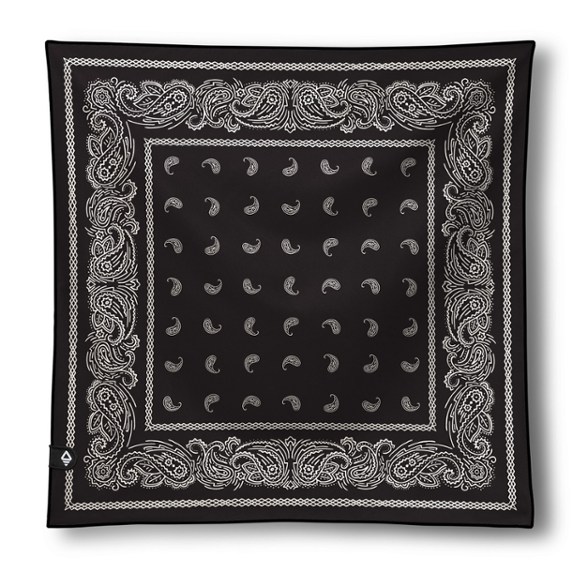 Product Image of color Paisley Black