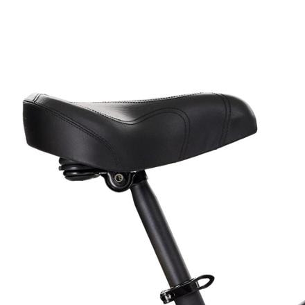 Electra Townie 7D Step-Over Bike 8