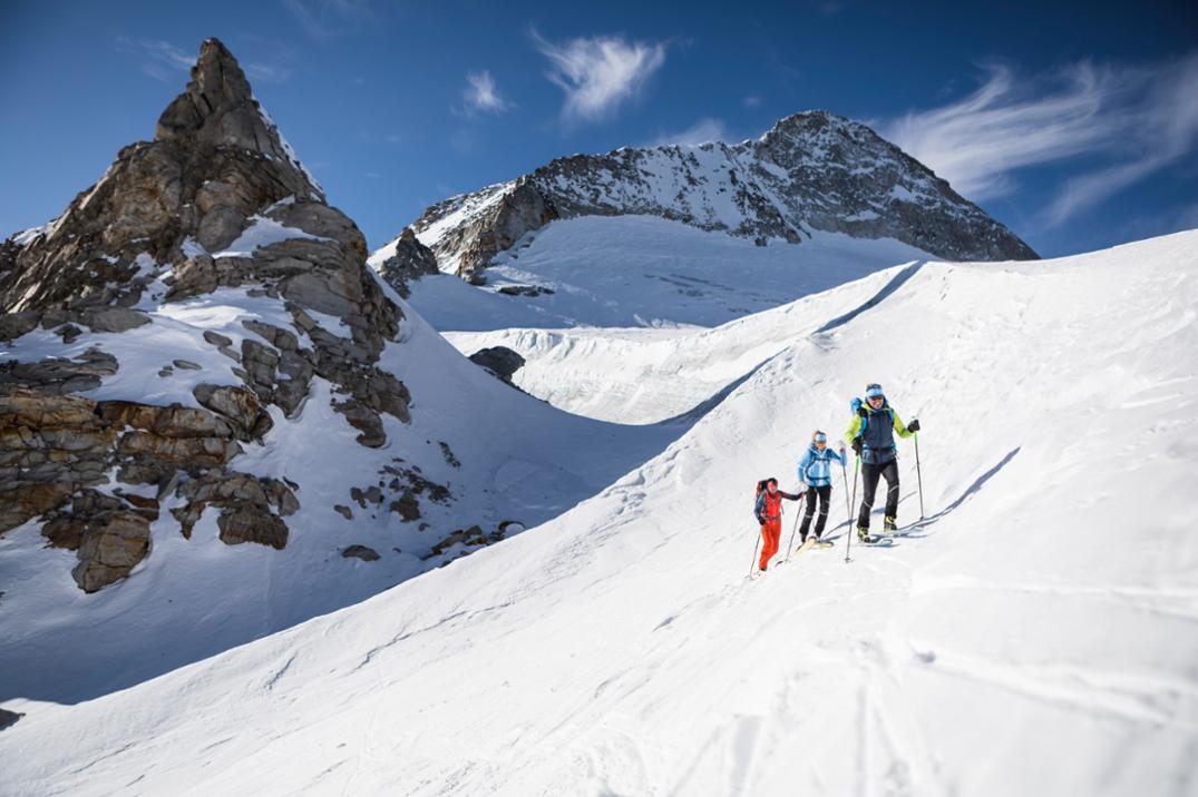 Location Image for Free Tour XT Carbon Ski Poles - Pair