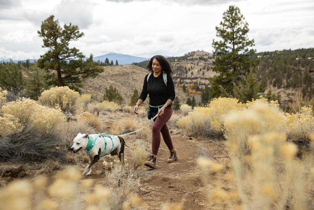 Location Image for Flagline Dog Harness