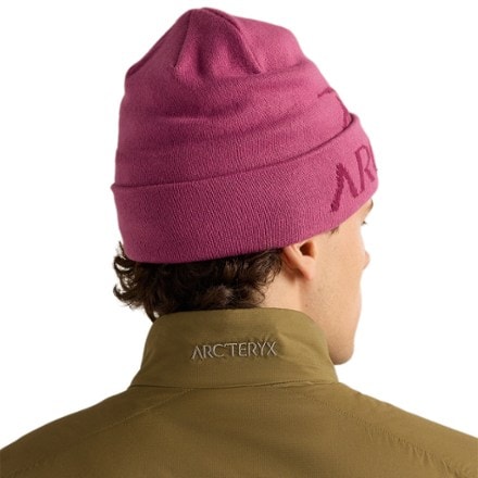 Arc'teryx Bird Word Toque 2