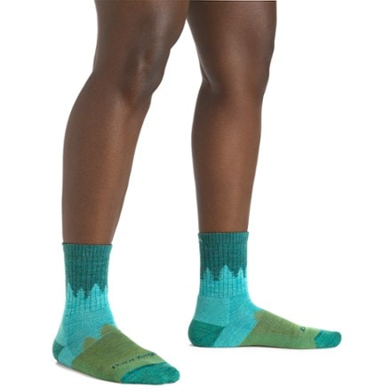 Darn Tough Treeline Micro Crew Socks - Women's 2