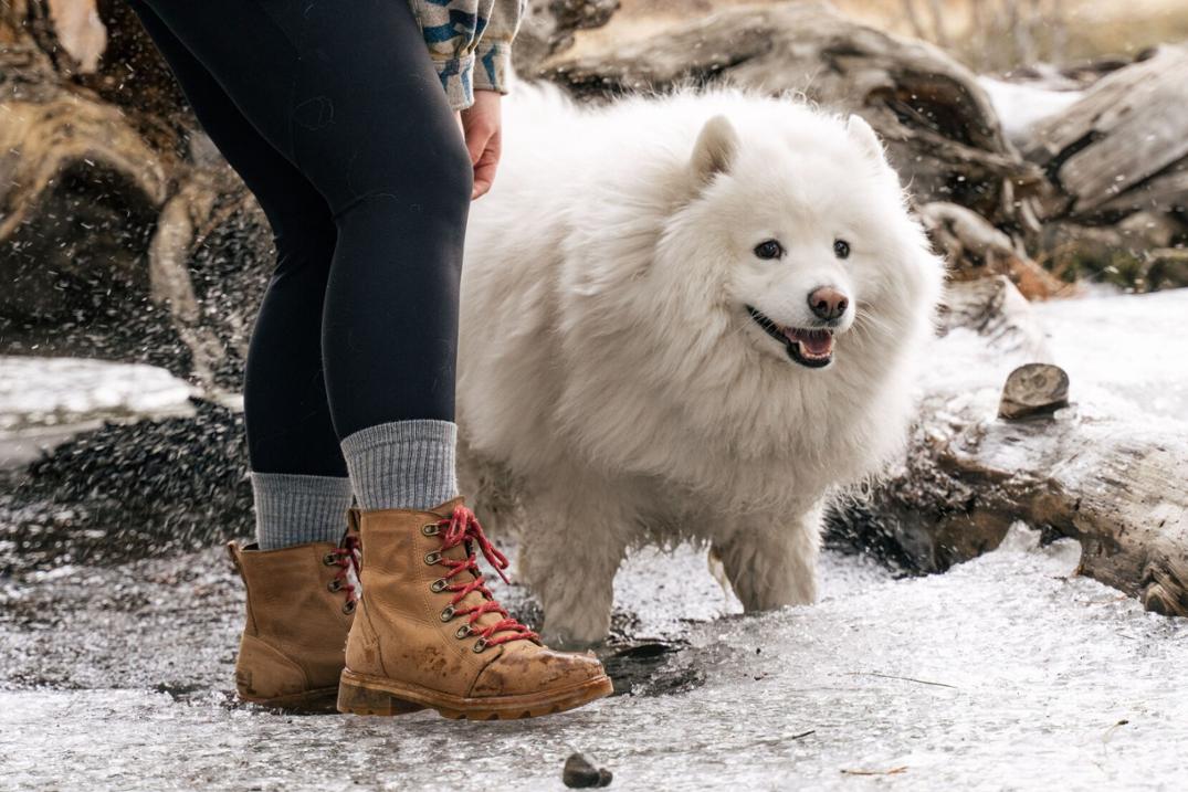 Location Image for Eve Light Weight Hiker Crew Socks - Women's