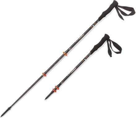 rei hiking sticks