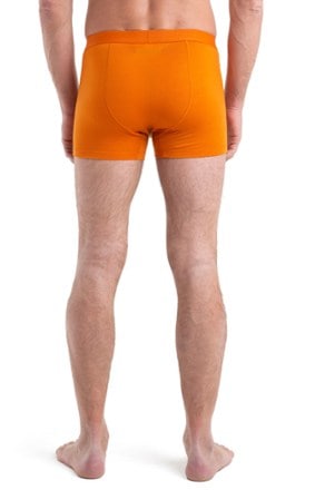 Icebreaker Anatomica Cool-Lite Boxers - Men's 2