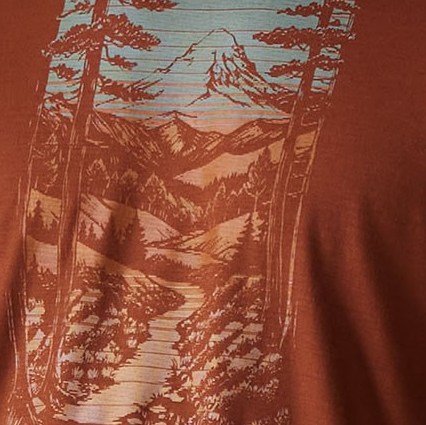 Swatch Image of color Burnt Sienna