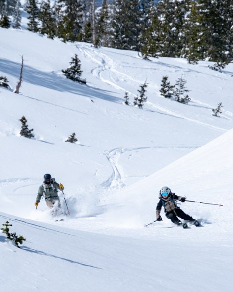 Location Image for Pagoda Tour CFL 100 Skis - 2025/2026