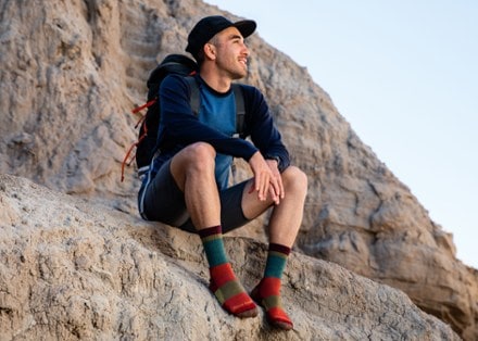 Darn Tough Heady Stripe Micro Crew Hiking Socks - Men's 2