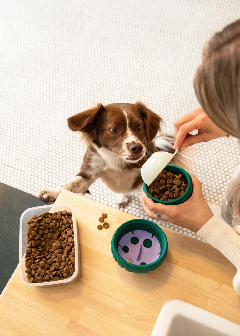 Location Image for Walkabout Dog Toy