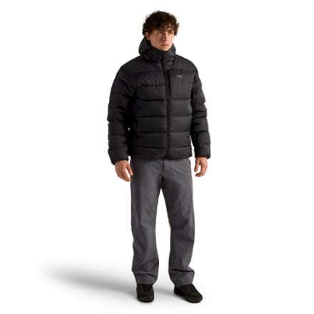 Arc'teryx Thorium Down Hoody - Men's 3