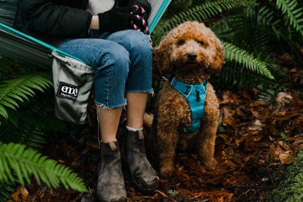 Location Image for SingleNest Hammock