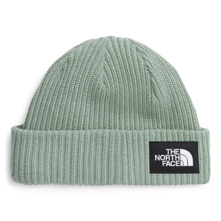 The North Face Salty Lined Beanie  Green