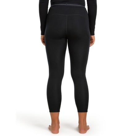 Icebreaker 300 MerinoFine Polar Base Layer Leggings - Women's 2