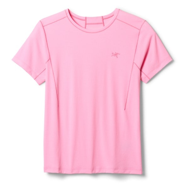 Product Image of color Pineberry